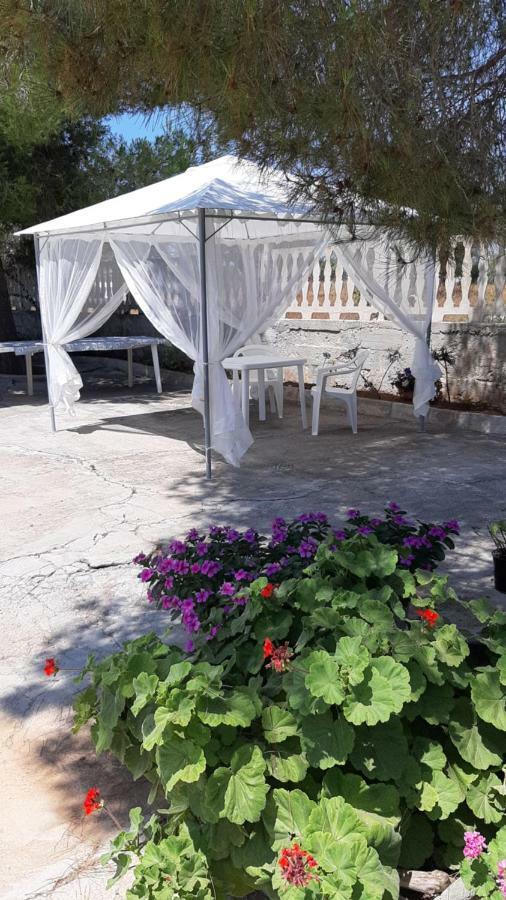 Apartment Poggio Fiorito